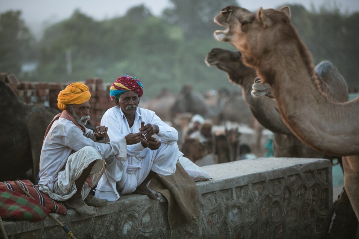Camel Herders | India Camel Herders | India